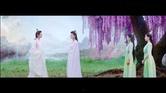 双生花落又逢君,缘起缘灭，君心依旧