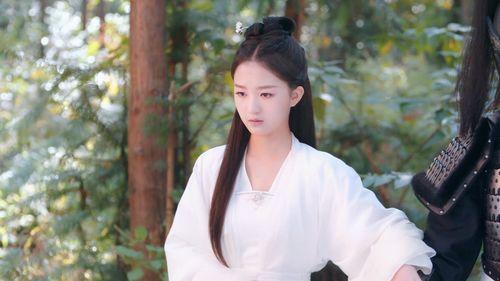 山有木兮木有心