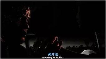 黑暗乡村,揭开神秘面纱的幽深之旅